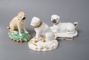 A Derby pug dog with white and gilt decoration, another pug dog perhaps Rockingham and an English porcelain pug dog, first half 19th century (3) 6cm